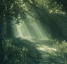 《慢慢来，很多事情都会变好》