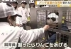 大熊猫回中国后，日本搞出“神操作”