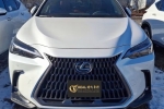 油电混合动力新车 2025 Lexus NX350 hybrid 油电混合动力  白色配黑皮