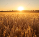 《愿你在平凡的日子里找到光》