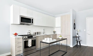 Sky View Condo  高层精致1居室出租 $ 3100