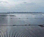 水上发电、水下养殖 江苏沿海最大渔光互补光伏项目并网发电