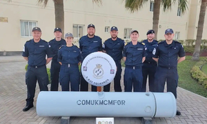 特朗普呼吁护航，英国仅有8人“配合”？