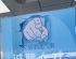 纽约及周边地区，各品牌新车，二手车，标车，租车 法拉盛 9172137865