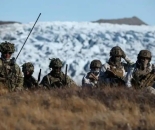 防美国动手，欧洲多国暗中商量驻军格陵兰岛