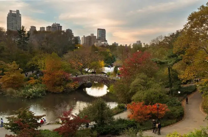 《有些风景，只适合慢慢遇见》