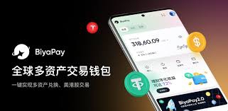 BIYAPAY是一家在全球范围内为客户提供多资产交易的国际化钱包